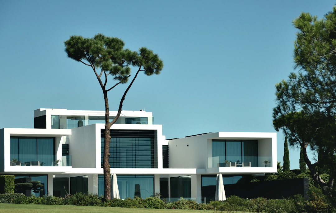 Um Grande Edificio Branco Com Uma Arvore Na Frente Dele d6DtdiBxBVc