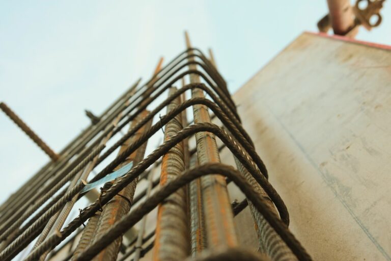 Fotografia Worms Eye View De Vergalhao eyq7H7gO0EY
