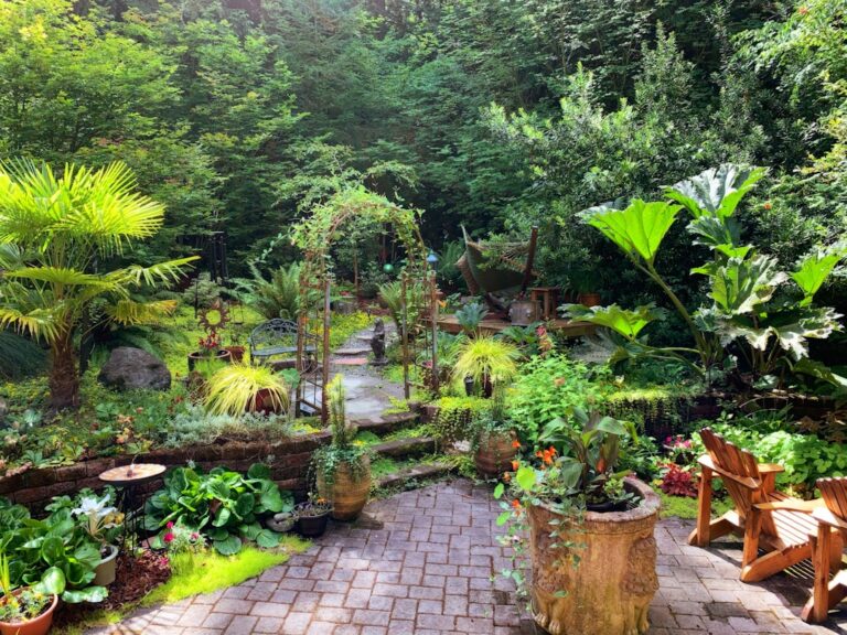 Plantas Verdes Em Vasos De Barro Marrom pU8ArN6tmuw