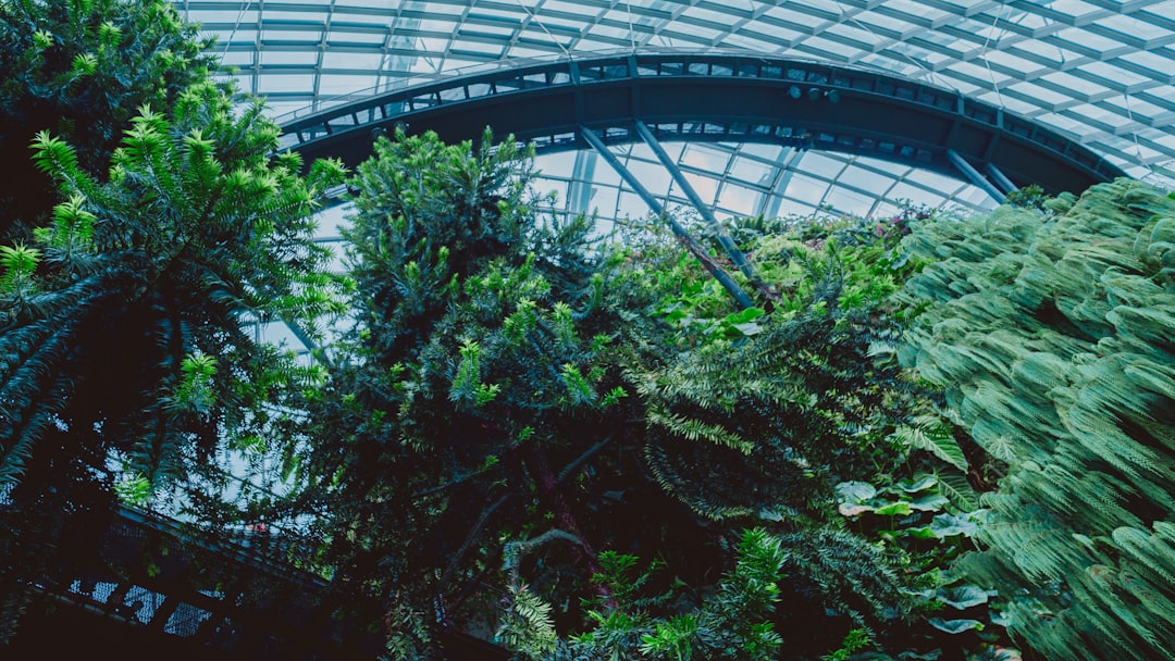 Plantas Verdes Prosperam Sob Uma Cupula De Vidro ujJzmtjmKnU