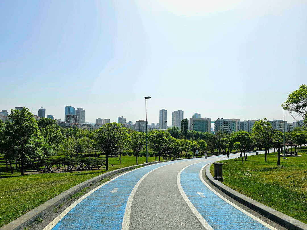 Uma Estrada Curva Em Um Parque Com Uma Cidade Ao Fundo RkdijVcnyRY