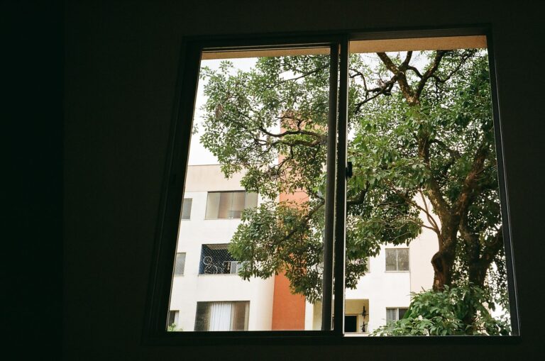 Looking through a window at a lush tree and apartment building in Centro, Brazil.
